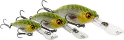 Westin BuzzBite Crankbait Suspending -Professional Fishing Equipment Discount Store P145 023 001r 3
