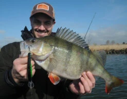 Platypus Deep Runner 10 Cm -Professional Fishing Equipment Discount Store WS17912r 3