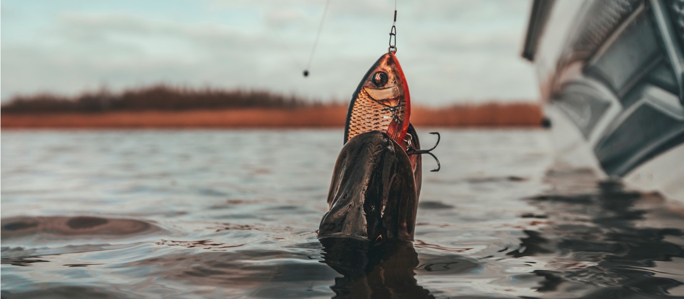 Professional Fishing Equipment Discount Store -Professional Fishing Equipment Discount Store frontpage dive into